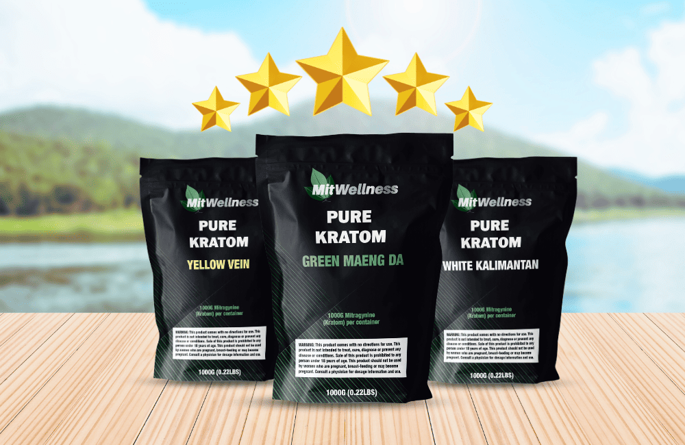 choose mitwellness