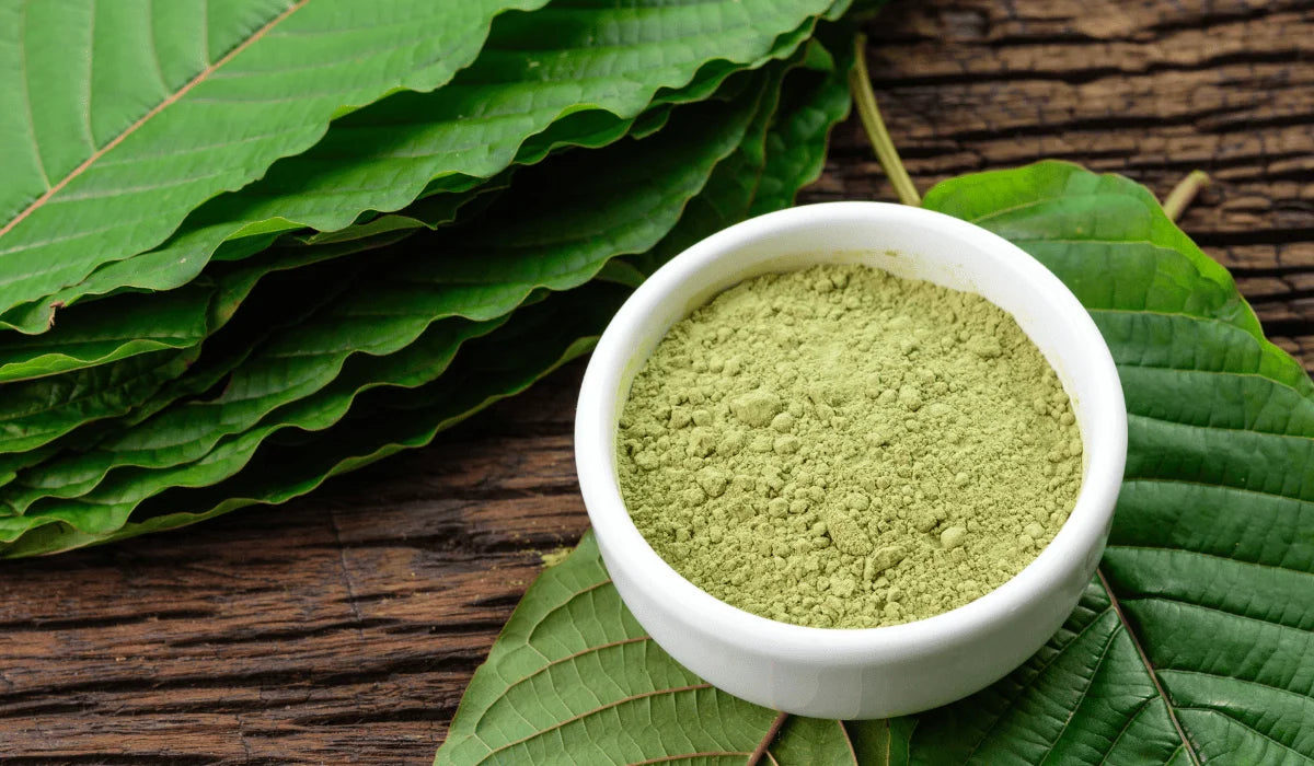 Kratom extract shots are perfect for beginners