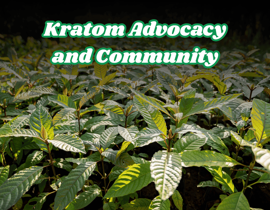 Kratom Advocacy and Community: Supporting legality and Research