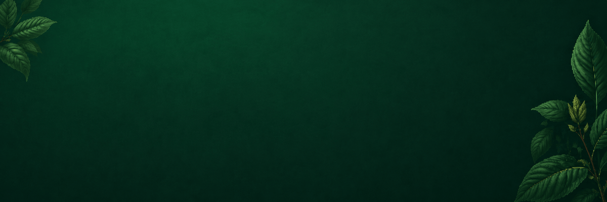 Guarantee background